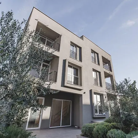 Moon 3 * 포드고리차